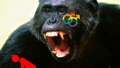 Invasione di Uomini-Scimmia Gay mette in fuga gli africani, e l’Italia si prepara ad accoglierli