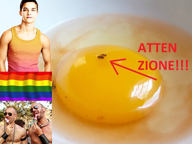 Mangiare queste uova OGM potrebbe farti diventare gay, e nessuno lo dice